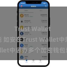 Trust Wallet NFT功能 如安在Trust Wallet中惩办多个加密钱包地址？